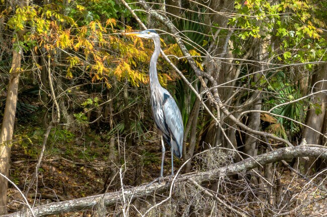 Birdwatchers flock to Marshall Hampton Reserve for the vast variety of species of birds.