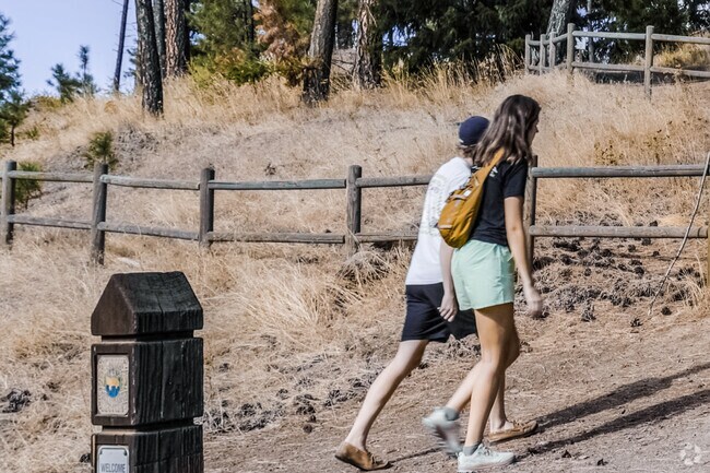 Canfield Mountain Natural Trail is popular with the active set of Coeur d'Alene.