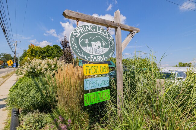 Spring Ledge Farm in New London offers a wide variety of fruits, vegetables and plants.