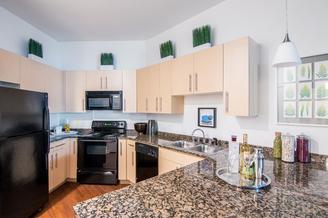 The Montrose, Dallas, TX 75204 - photo 4