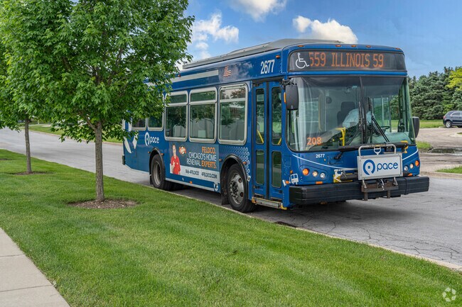Residents of Crestview Knolls can use a Pace bus to travel to any part of the Chicagoland area.