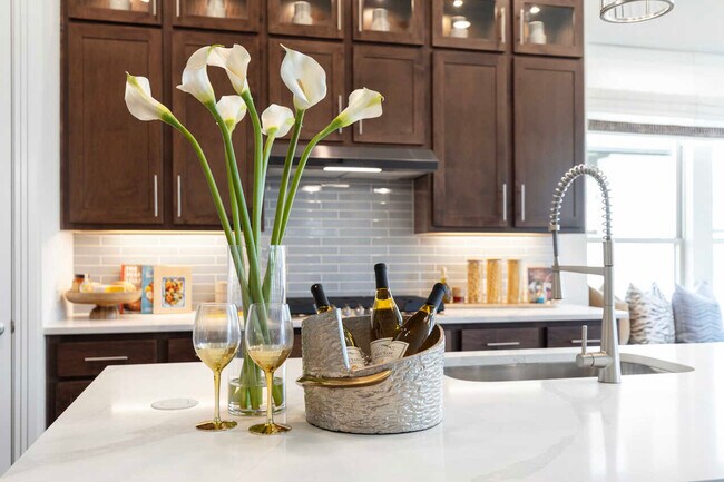 243 Jackson River Loop, Kyle, TX 78640 - photo 6