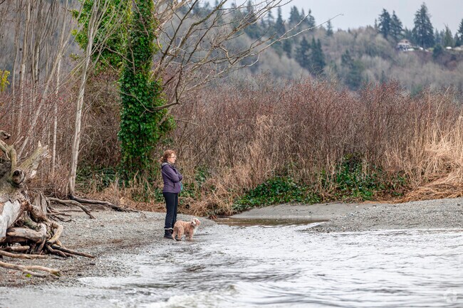 A pedestrian takes in a break in the clouds with her pup at Picnic Point Park.