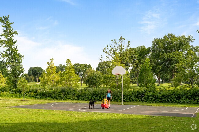 Explore the appeal of Hopkins neighborhood life with Interlachen Park's ice rink and hoops.