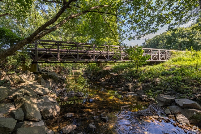 Experience the beauty of Bluemont Park, a green oasis in the heart of the Bluemont neighborhood.