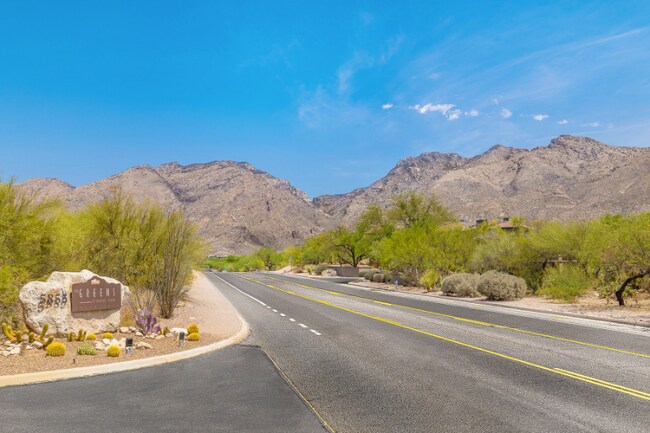 5855 N Kolb Rd unit 8212, Tucson, AZ 85750 - photo 5