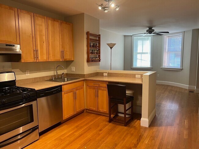 8 Alvah Kittredge Park unit 1, Roxbury, MA 02119 - photo 6