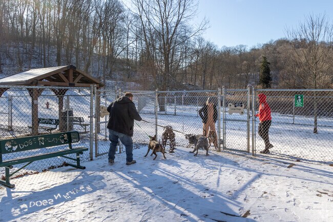 Meet new friends when you visit Hopewell Township Dog Park.