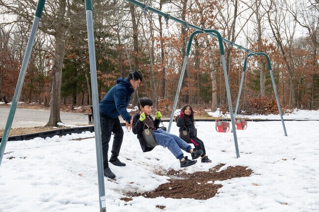 Local kids playing on the swings at Lakeland County Park in Islandia.