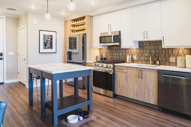 Gourmet kitchens feature bold tile backsplash and oversized single basin sinks.
