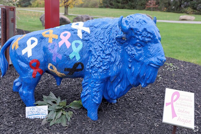 The North Collins neighborhood supporting its residents whenever possible.