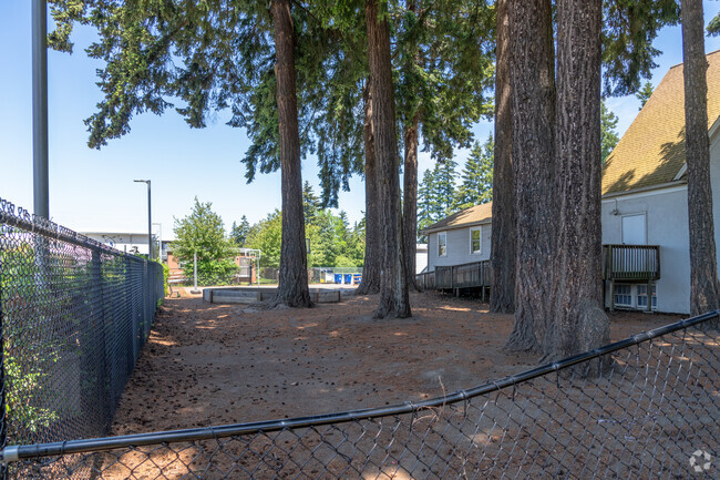 Trinity Classical School play area