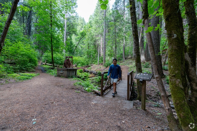 Sly Park Recreation Area's forested trails stretch over 9 miles.