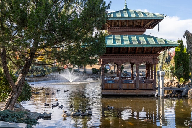Ceronix in Auburn has a beautiful pond that is home to a diverse population of birds.