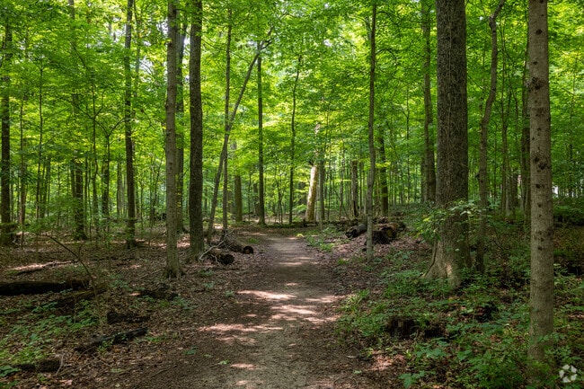 Dublin is investing in over 60 public parks, covering 1,500 acres of parkland.