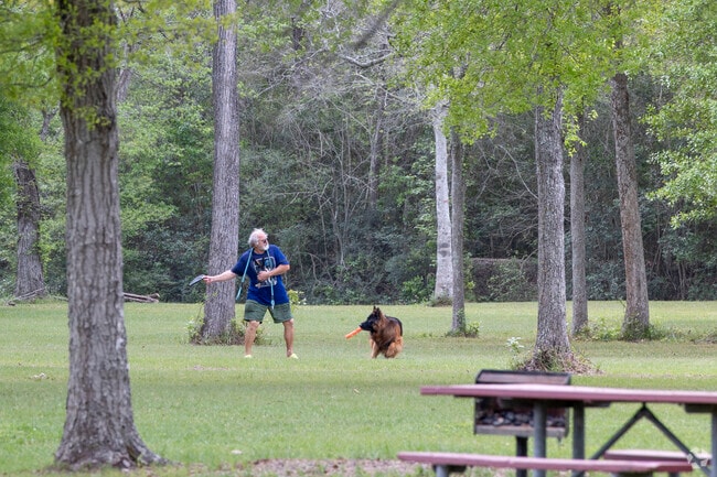 Dog lovers in Brookside Village pamper their furry friends with plenty of playtime.