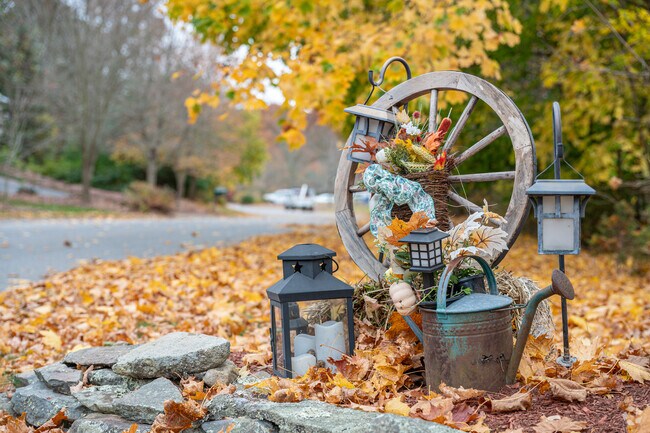 Autumn is when Westville truly pops, with maple trees create beautiful colors along the streets.