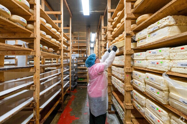 A worker at Smith's Country Cheese takes an aging block of cheese from the shelf.