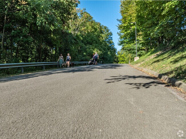 Residents of Cheat Lake enjoy walks with their dogs and young children on the hilly terrain.