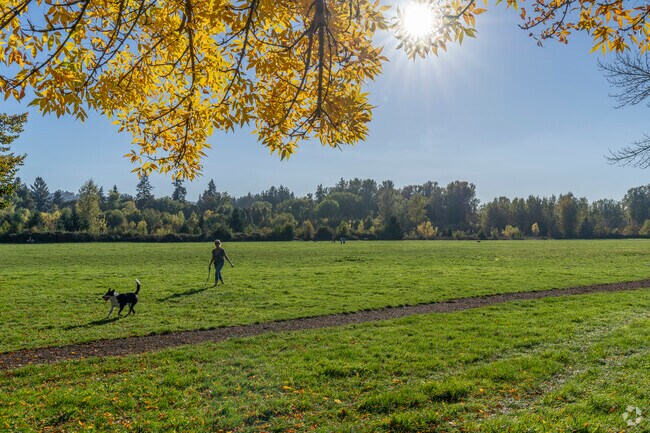Minto-Brown Island Park features a large dog park so pups can run in wide-open spaces.
