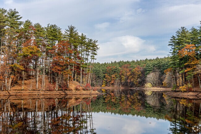 East Broadway blooms in color during the fall.