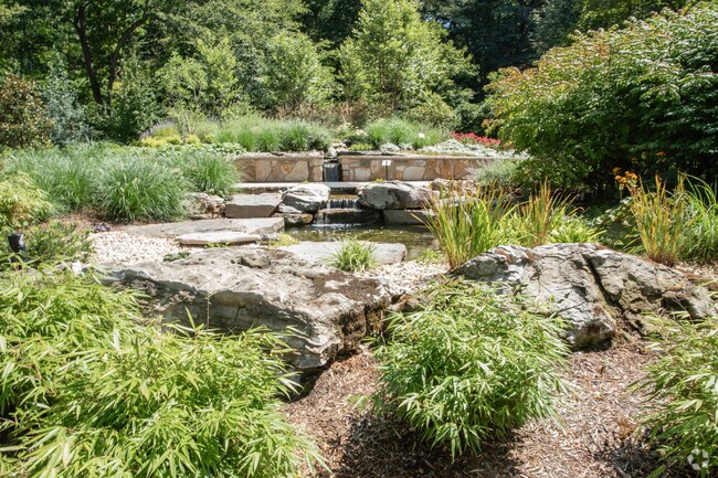 Bailey Arboretum near Lattingtown showcases rare plants and trees.