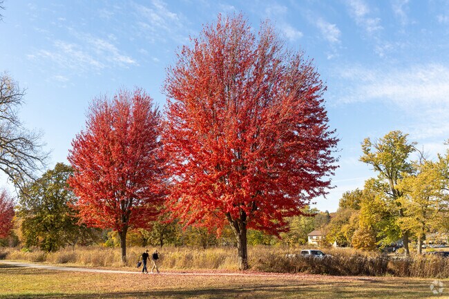 Peninsula Area families love City Park for its wide-open spaces and beautiful scenery.