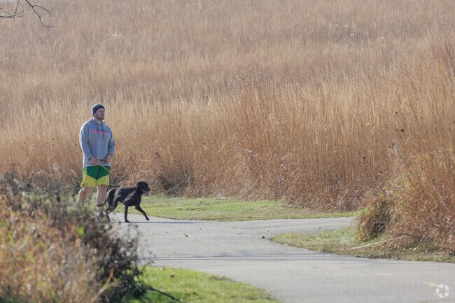 Ice Age Trail is a great place to escape into naure.