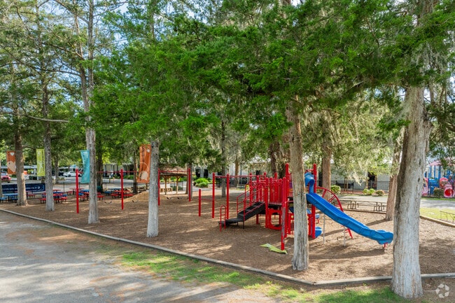 Climb and swing at The Rock School.