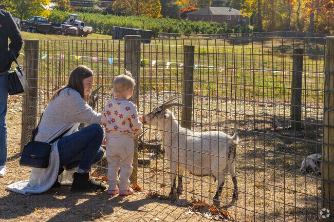 Kids can enjoy the petting zoo at Milburn Orchards, just outside of Newark.