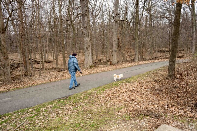 The winding trails in the Hickory Creek Preserves near Arbury Hills are beautiful.