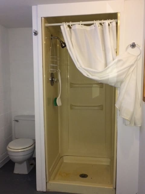 Bathroom (Lower level)