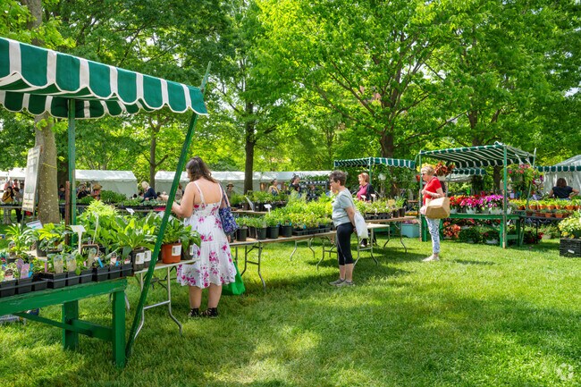 Springtime splendor blooms at the iconic Washington National Cathedral.