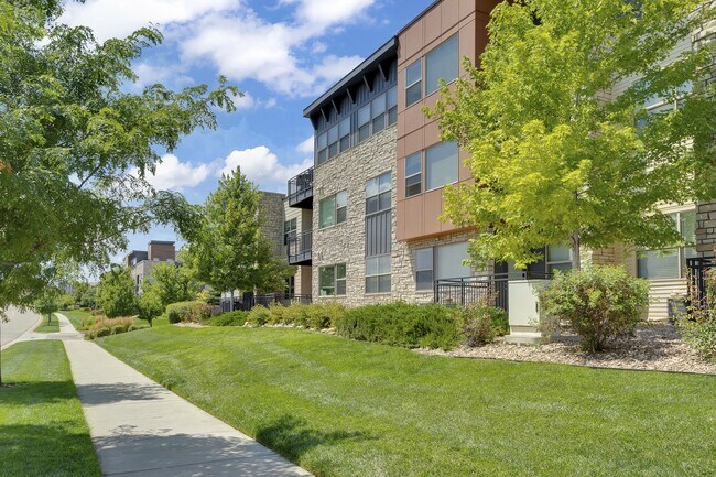 Vela Meridian, Parker, CO 80134 - photo 6