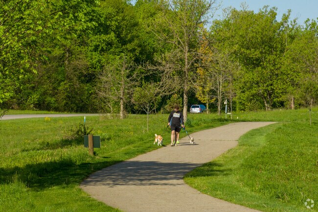 Highbanks Metro Park is a wonderful area for a quick walk with your dog.