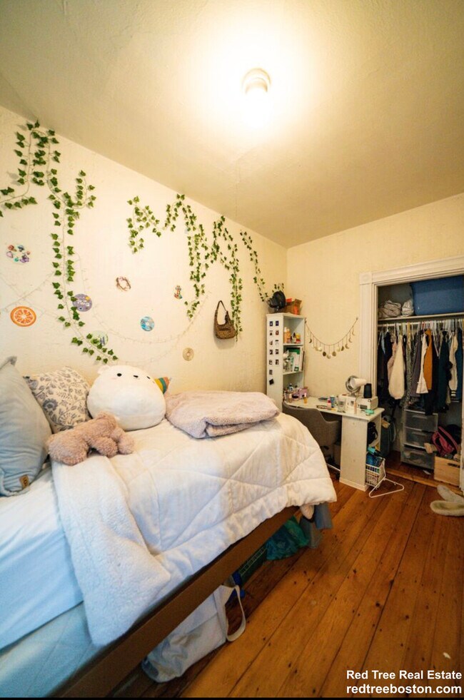 133 St Alphonsus St unit 2, Boston, MA 02120 - photo 7