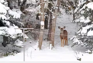 6109 Woodland Dr, Ogden, UT 84403