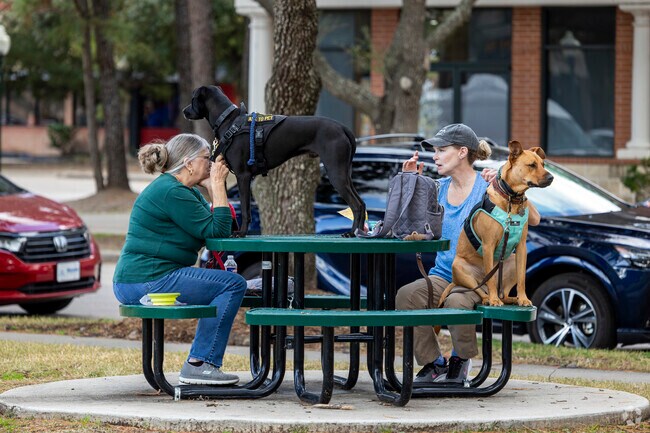Local Kingswood residents and their dogs meet up at Town Center park to catch up.