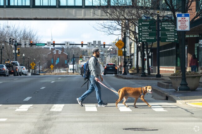 East End dog owners enjoy an afternoon walk with an urban setting in Downtown Lexington.
