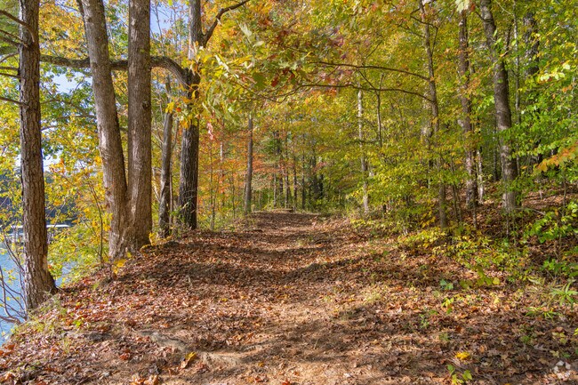 Toto Creek Park at Lakeshore offer beautiful walks along lake Lanier.