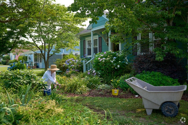 An Onancock homeowner enjoys tending to her landscaping on a summer day.