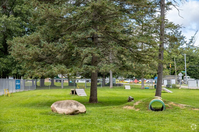 Wide open spaces can be found throughout Home Run Dog Park perfect for active dogs.