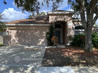 11815 Easthampton Dr, Tampa, FL 33626