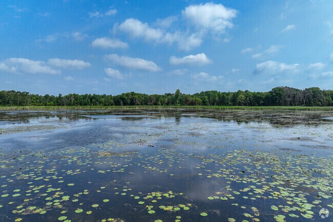 Hickey Lake in Oak Grove is a great spot  to view local wildlife.