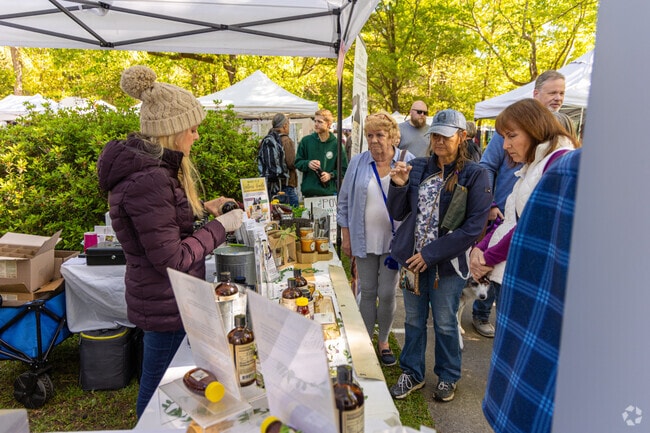 Summerville locals enjoy shopping local vendors at the Flowertown Festival each spring..