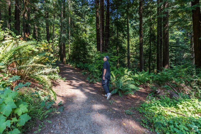 Nature lovers will enjoy the Sunny Brae Community Forest.
