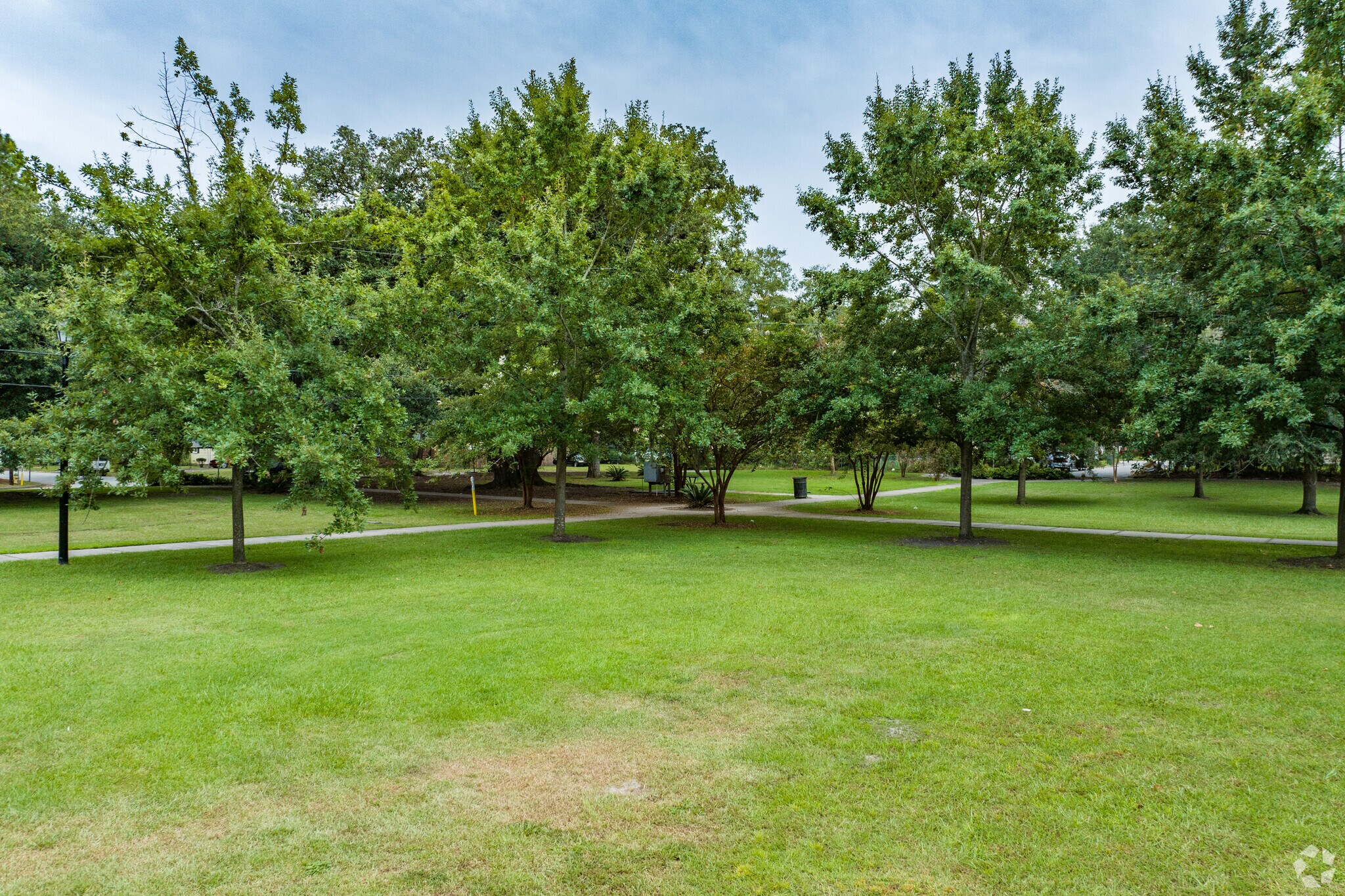 Ardsley Park boasts tall shade trees and open fields.
