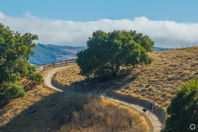 Helen Putnam Regional Park offers scenic open space in Petaluma.