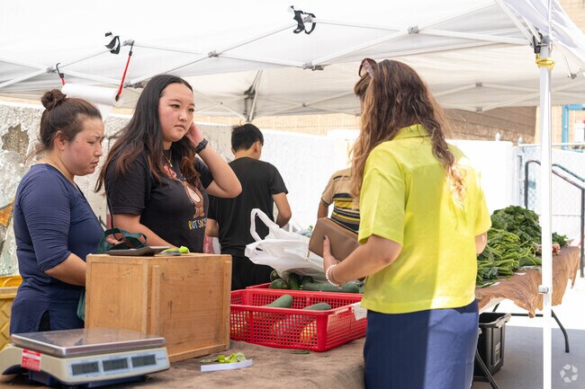 Locals of Bowdoin North-Mount Bowdoin stop by the DotHouse Health Farmers Market to shop their daily needs.