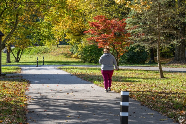 A Danville resident takes a stroll through scenic Ellis Park in downtown Danville.